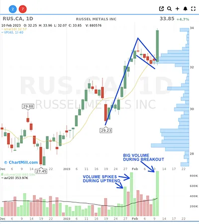 bull flag setup