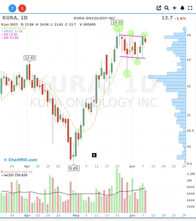 loose bull flag pattern